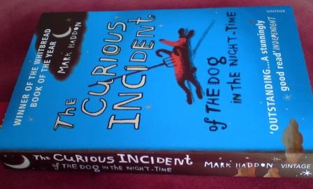 THE CURIOUS INCIDENT OF THE DOG IN THE NIGHTTIME BOOK